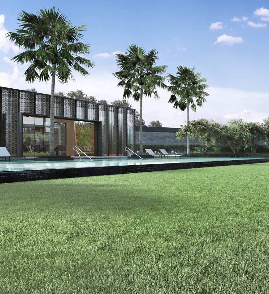 Pavilion and lawn (artist’s impression)