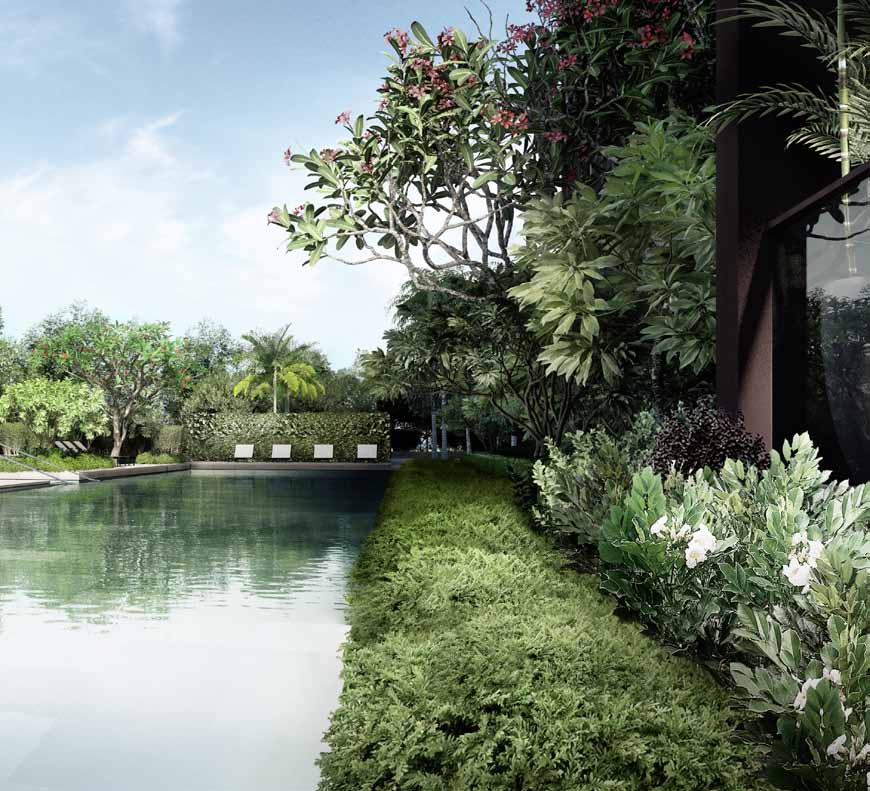 Pool and gardens (artist’s impression)