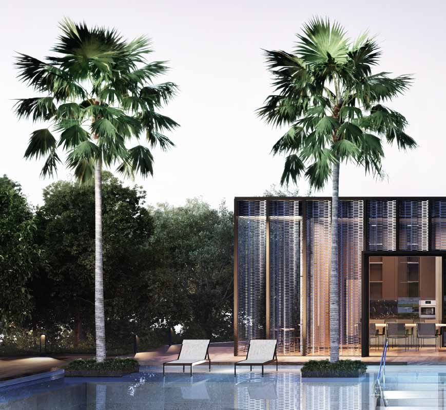 Pool at dusk (artist’s impression)